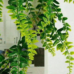 🔥$9.97 Today Only--UV Resistant Lifelike Artificial Boston Fern🌱