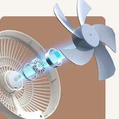 Small wall-mounted fan